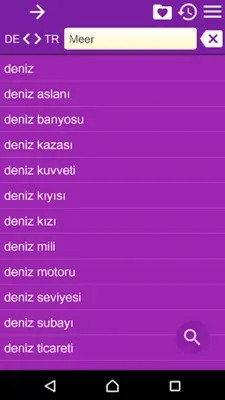German Turkish Dictionary Free android App screenshot 6